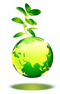 Environmental commitment